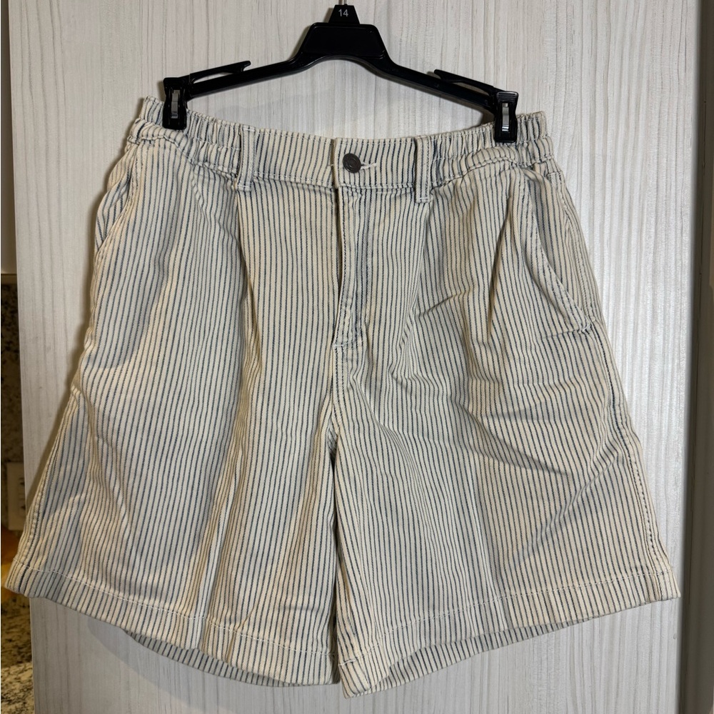 Aerie Blue and White Striped Shorts